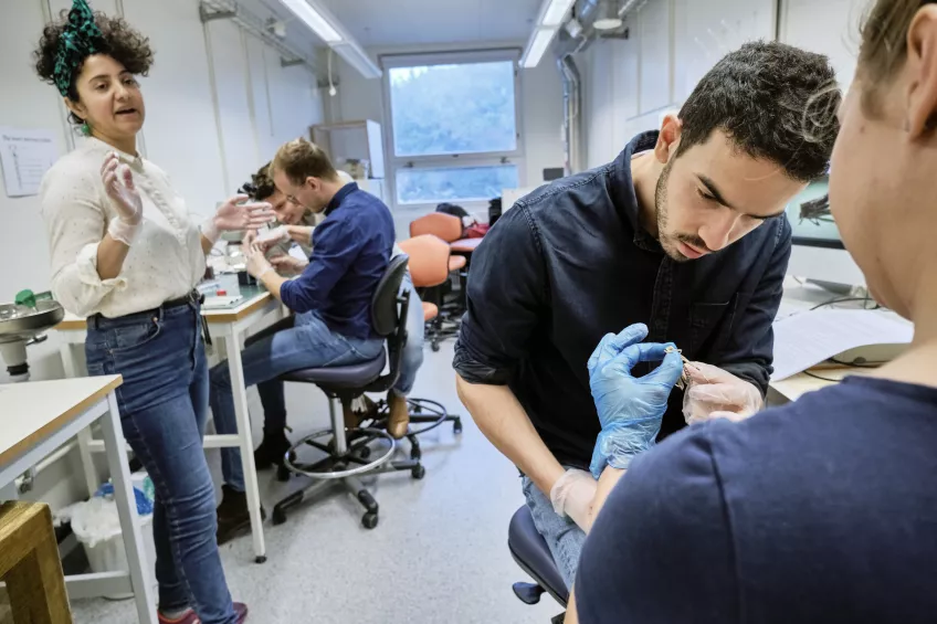 Students in lab. Photo.