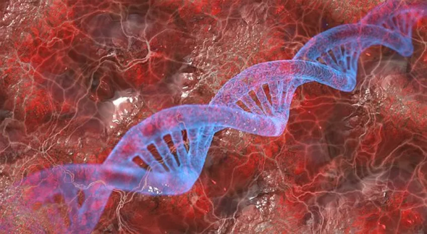 DNA spiral. Immage.